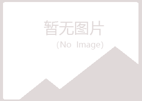 河南夜山化学有限公司